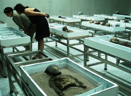 Momias_Chinchorro_Deposito_Museo_San_Miguel_de_Azapa_foto_Giovanni_Pais_Becher_2010